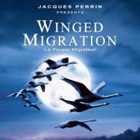迁徙的鸟 Le peuple migrateur(2001)