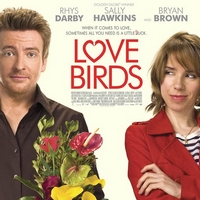 爱情鸟 Love Birds(2011)