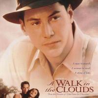 云中漫步 A Walk in the Clouds (1995)