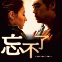 忘不了 (2003)