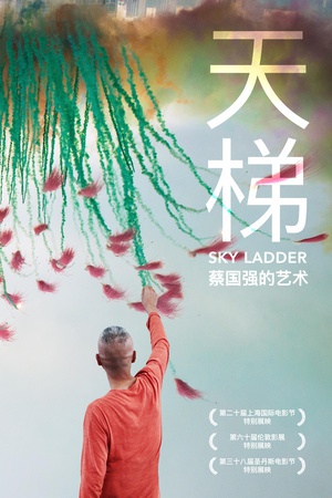 天梯：蔡国强的艺术 Sky Ladder: The Art of Cai Guo-Qiang (2016) 