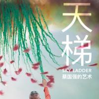 天梯：蔡国强的艺术 Sky Ladder: The Art of Cai Guo-Qiang (2016) 