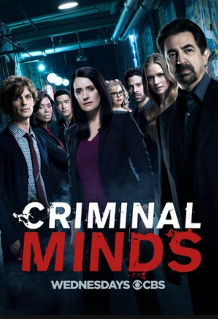 犯罪心理 第十三季 Criminal Minds Season 13 (2017)
