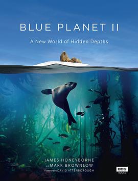 蓝色星球2 Blue Planet II (2017) 