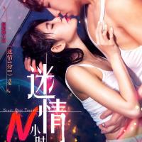 迷情N小时 (2017) 