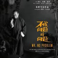 不成问题的问题 (2016) 