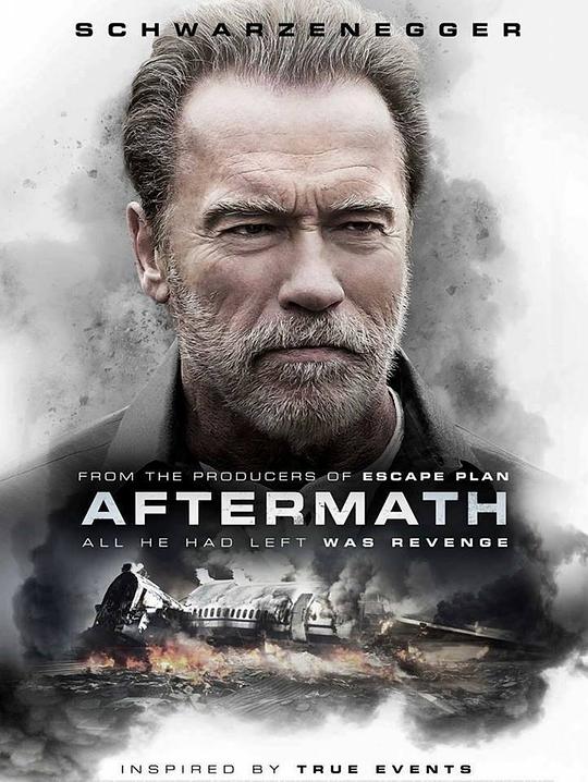 空难余波 Aftermath (2017)