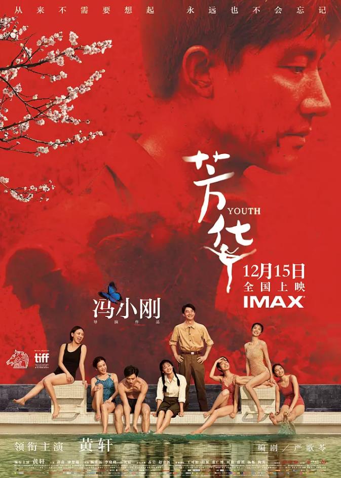 芳华 (2017)