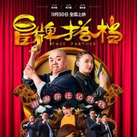 冒牌搭档 (2018) 