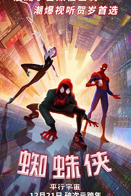 蜘蛛侠：平行宇宙 Spider-Man: Into the Spider-Verse (2018) 