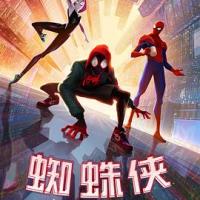 蜘蛛侠：平行宇宙 Spider-Man: Into the Spider-Verse (2018) 