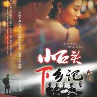 小石头下乡记 (2019) 