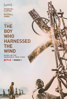 驭风男孩 The Boy Who Harnessed the Wind (2019) 