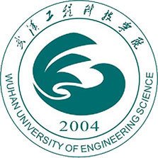 武汉工程科技学院 