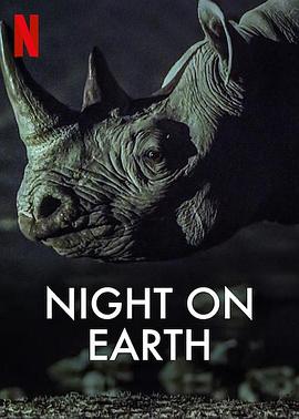 地球的夜晚 Night on Earth (2020) 