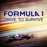 一级方程式：疾速争胜 第二季 Formula 1: Drive to Survive Season 2 (2020)