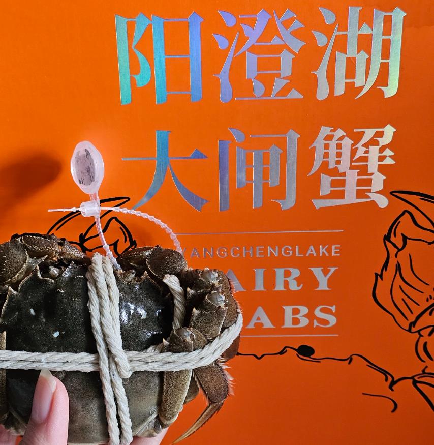 阳澄湖大闸蟹